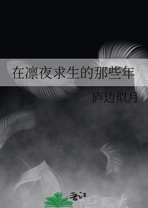 在凛夜求生的那些年/末世之城gl